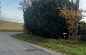 Élagage Et Étêtage à AIGNES