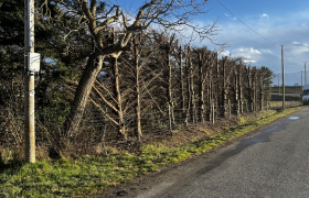 Élagage Et Étêtage à AIGNES