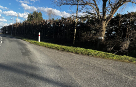 Élagage Et Étêtage à AIGNES
