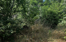Jardinier Auterive