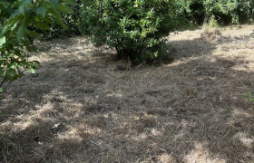 Jardinier Auterive
