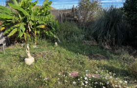 Elagueur Auragne