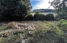 Elagueur Auragne