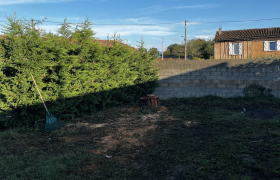 Elagueur Cintegabelle
